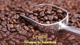  Presentation with beans - 