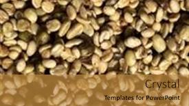  Presentation with coffee beans - PPT theme consisting of coffee-beans-in-the-sun background and a gold colored foreground