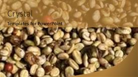  Presentation with coffee beans - PPT theme having coffee-beans-in-the-sun background and a gold colored foreground