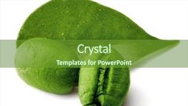  Presentation with coffee beans - Amazing presentation design having coffee beans with leaf isolated backdrop and a  colored foreground