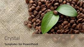  Presentation with beans - 