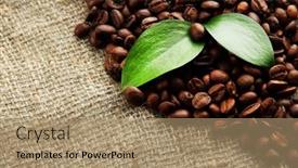  Presentation with beans - 