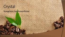  Presentation with border - Slides with coffee border background and a coral colored foreground