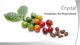  Presentation with coffee beans - Presentation theme with coffee-cherry-beans-and-leaves background and a white colored foreground