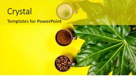  Presentation with yellow oyster mushroom - Colorful slide set enhanced with coffee composition on yellow background backdrop and a gold colored foreground