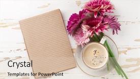  Presentation with gerbera daisy pink flower - PPT layouts enhanced with coffee cup and gerbera flowers background and a lemonade colored foreground