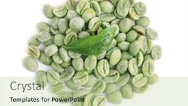  Presentation with grains - PPT theme enhanced with coffee grains and leaf isolated on white background and a mint green colored foreground