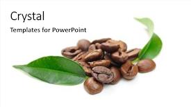  Presentation with grains - Theme having coffee grains and leaves isolated background and a  colored foreground