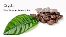  Presentation with grains - Presentation theme having coffee grains and leaves background and a  colored foreground