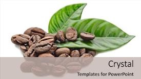  Presentation with grains - PPT layouts having coffee grains and leaves background and a light gray colored foreground
