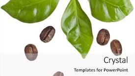  Presentation with grains - PPT theme having coffee grains and leaves background and a white colored foreground