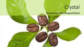  Presentation with grains - Cool new theme with coffee grains and leaves backdrop and a yellow colored foreground