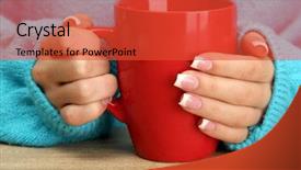  Presentation with cartoon kids holding hands - Amazing presentation theme having seal sea lion baby seal backdrop and a gray colored foreground.