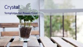  Presentation with small hydro power plant - Presentation theme featuring coffee plant in a pot background and a sky blue colored foreground