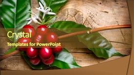  Presentation with coffee beans - Presentation design consisting of coffee plant red coffee beans background and a tawny brown colored foreground