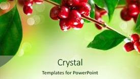  Presentation with coffee beans - Audience pleasing PPT layouts consisting of coffee plant red coffee beans backdrop and a soft green colored foreground