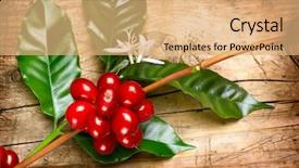  Presentation with coffee beans - PPT layouts with coffee plant red coffee beans background and a coral colored foreground