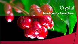  Presentation with coffee beans - Presentation design with cherry production - coffee plant red coffee beans background and a forest green colored foreground