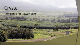  Presentation with coffee plantation coffee farm coffee - Audience pleasing theme consisting of coffee plantation coffee farm coffee backdrop and a sky blue colored foreground