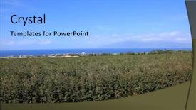  Presentation with coffee plantation coffee farm coffee - Colorful PPT theme enhanced with coffee plantation coffee farm coffee backdrop and a  colored foreground