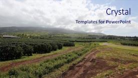  Presentation with coffee plantation coffee farm coffee - Colorful slide set enhanced with coffee plantation coffee farm coffee backdrop and a  colored foreground