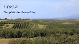  Presentation with coffee plantation coffee farm coffee - PPT layouts with coffee plantation coffee farm coffee background and a sky blue colored foreground