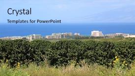  Presentation with coffee plantation coffee farm coffee - Cool new slides with coffee plantation coffee farm coffee backdrop and a  colored foreground