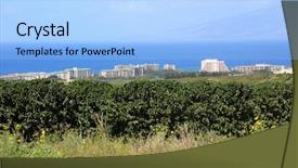  Presentation with coffee plantation coffee farm coffee - Theme having coffee plantation coffee farm coffee background and a light blue colored foreground