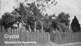  Presentation with humanity - Theme consisting of engraving - coffee plantation surrounded background and a gray colored foreground