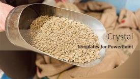  Presentation with trader - Slide deck consisting of coffee-trader-showing-the-raw background and a coral colored foreground