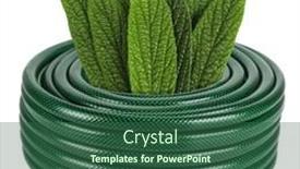  Presentation with flexible - PPT theme with coiled-flexible-tube-watering-garden background and a ocean colored foreground