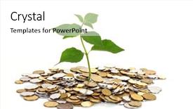  Presentation with money tree - Theme with coin money with green leaf background and a white colored foreground