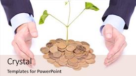  Presentation with hands planting a cabbage seedling - Cool new PPT theme with green seedling growing pile coins - businessman's hands protecting the money backdrop and a  colored foreground