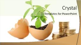  Presentation with eggshell - Cool new presentation theme with coins and plant in eggshell backdrop and a soft green colored foreground