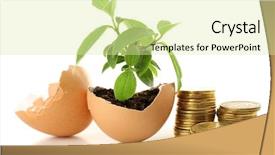  Presentation with eggshell - Slide deck enhanced with coins and plant in eggshell background and a soft green colored foreground