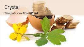  Presentation with eggshell - Audience pleasing presentation design consisting of coins and plant in eggshell backdrop and a coral colored foreground