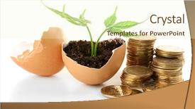  Presentation with eggshell - Presentation design with coins and plant in eggshell background and a cream colored foreground