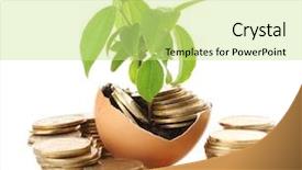  Presentation with eggshell - Presentation theme with coins and plant in eggshell background and a yellow colored foreground