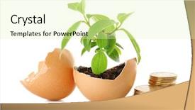  Presentation with eggshell - Presentation design consisting of coins and plant in eggshell background and a soft green colored foreground
