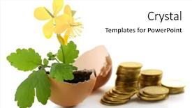  Presentation with eggshell - PPT theme enhanced with coins and plant in eggshell background and a white colored foreground
