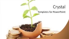  Presentation with eggshell - Slide deck with coins and plant in eggshell background and a white colored foreground