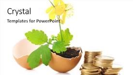  Presentation with eggshell - Theme having coins and plant in eggshell background and a white colored foreground