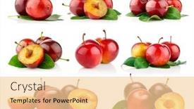  Presentation with green leaves - Amazing slide deck having colage-mix-set-of-fresh backdrop and a blonde colored foreground