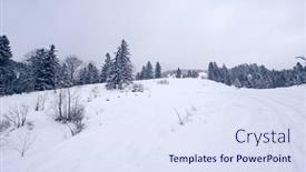  Presentation with nature - Slides enhanced with cold-and-snowy-winter-nature background and a sky blue colored foreground