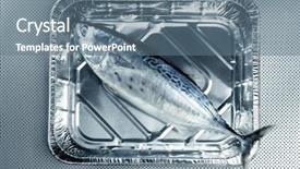  Presentation with mediterranean - PPT theme consisting of cold calling - euthynnus alletteratus called false albacore background and a ocean colored foreground