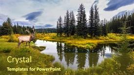  Presentation with canadian - Amazing presentation theme having cold-cloudy-autumn-day-near backdrop and a tawny brown colored foreground