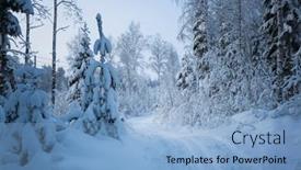  Presentation with winter forest - Presentation design having cold-snowy-fairytale-scenery and a light blue colored foreground