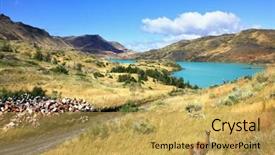  Presentation with chile - Amazing PPT theme having cold summer in chile national park to torres del payn - a graceful rack wild guanacos on the river bank backdrop and a yellow colored foreground