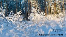  Presentation with glow - Audience pleasing PPT theme consisting of cold-sunshine-frosty-glow backdrop and a light blue colored foreground