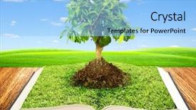  Presentation with growing tree - Presentation theme enhanced with collage education - tree growing from a book background and a light blue colored foreground